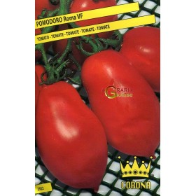 SEMI DI POMODORO ROMA VF SEMI DI POMODORO ROMA VF