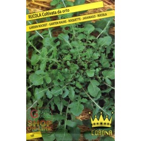 SEMI DI RUCOLA COLTIVATA DA ORTO SEMI DI RUCOLA COLTIVATA DA ORTO