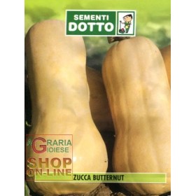 SEMI DI ZUCCA BUTTERNUT SEMI DI ZUCCA BUTTERNUT