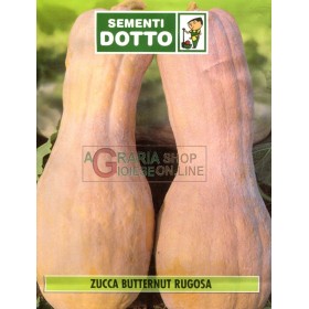 SEMI DI ZUCCA BUTTERNUT F1 RUGOSA SEMI DI ZUCCA BUTTERNUT F1 RUGOSA