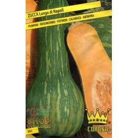 SEMI DI ZUCCA LUNGA DI NAPOLI SEMI DI ZUCCA LUNGA DI NAPOLI