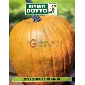 SEMI DI ZUCCA QUINTALE SEME GIALLO SEMI DI ZUCCA QUINTALE SEME GIALLO