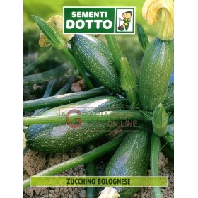 SEMI DI ZUCCHINO BOLOGNESE SEMI DI ZUCCHINO BOLOGNESE