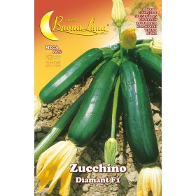 SEMI DI ZUCCHINO DIAMANT SEMI DI ZUCCHINO DIAMANT