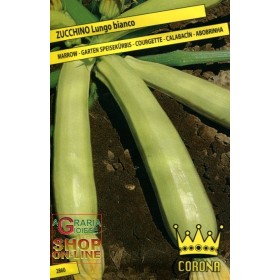 SEMI DI ZUCCHINO LUNGO BIANCO SEMI DI ZUCCHINO LUNGO BIANCO