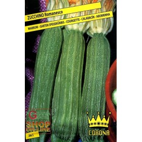 SEMI DI ZUCCHINO ROMANESCO SEMI DI ZUCCHINO ROMANESCO