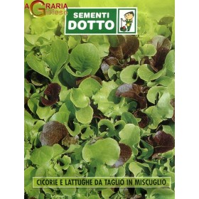 SEMI MISCUGLIO DI CICORIA E LATTUGA DA TAGLIO SEMI MISCUGLIO DI CICORIA E LATTUGA DA TAGLIO