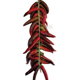 CROLLA PER COLLANE DI PEPERONCINI E ORTAGGI FORI 34 DI AGGANCIO CROLLA PER COLLANE DI PEPERONCINI E ORTAGGI FORI 34 DI AGGANCIO