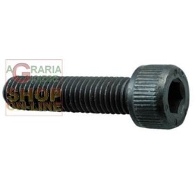 VITE A BRUGOLA 8.8 TC ESAGONO INCASSATO MM. 4 X 25 VITE A BRUGOLA 8.8 TC ESAGONO INCASSATO MM. 4 X 25