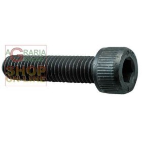 VITE A BRUGOLA 8.8 TC ESAGONO INCASSATO MM. 4X 40 VITE A BRUGOLA 8.8 TC ESAGONO INCASSATO MM. 4X 40