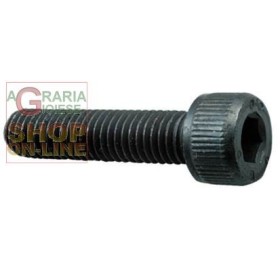 VITE A BRUGOLA 8.8 TC ESAGONO INCASSATO MM. 5X 35 VITE A BRUGOLA 8.8 TC ESAGONO INCASSATO MM. 5X 35