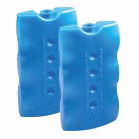 GHIACCIO SINTETICO GEL IN MATTONELLE DA GR.400 PEZZI 2 GHIACCIO SINTETICO GEL IN MATTONELLE DA GR.400 PEZZI 2