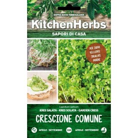 KITCHEN HERBS SEMI DI CRESCIONE COMUNE KITCHEN HERBS SEMI DI CRESCIONE COMUNE