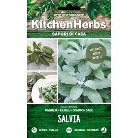 KITCHEN HERBS SEMI DI SALVIA OFFICINALE KITCHEN HERBS SEMI DI SALVIA OFFICINALE