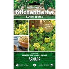 KITCHEN HERBS SEMI DI SENAPE KITCHEN HERBS SEMI DI SENAPE