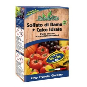 BIOVENTIS DT SOLFATO DI RAME CON CALCE IDRATA GT. 500 BIOVENTIS DT SOLFATO DI RAME CON CALCE IDRATA GT. 500
