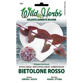 WILD HERBS SEMI DI BIETOLONE ROSSO WILD HERBS SEMI DI BIETOLONE ROSSO