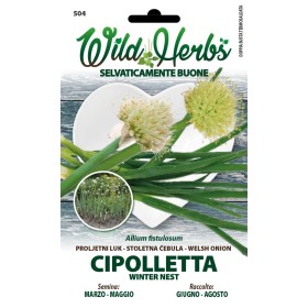 WILD HERBS SEMI DI CIPOLLETTA WILD HERBS SEMI DI CIPOLLETTA