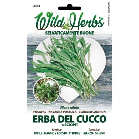 WILD HERBS SEMI DI ERBA DEL CUCCO O SCLOPIT WILD HERBS SEMI DI ERBA DEL CUCCO O SCLOPIT
