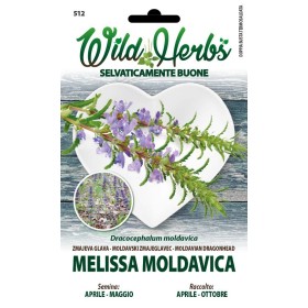 WILD HERBS SEMI DI MELISSA MOLDAVICA WILD HERBS SEMI DI MELISSA MOLDAVICA