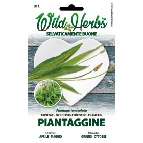 WILD HERBS SEMI DI PIANTAGGINE WILD HERBS SEMI DI PIANTAGGINE