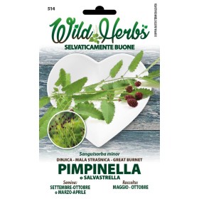 WILD HERBS SEMI DI PIMPINELLA WILD HERBS SEMI DI PIMPINELLA
