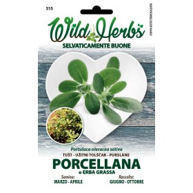WILD HERBS SEMI DI PORCELLANA O ERBA GRASSA WILD HERBS SEMI DI PORCELLANA O ERBA GRASSA