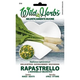 WILD HERBS SEMI DI RAPASTRELLO O RAVANELLO SELVATICO WILD HERBS SEMI DI RAPASTRELLO O RAVANELLO SELVATICO