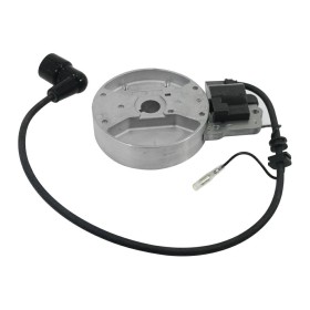 KIT BOBINA ELETTRICA E VOLANO PER SOFFIATORE EB800 KIT BOBINA ELETTRICA E VOLANO PER SOFFIATORE EB800