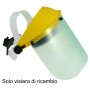 VISIERA TRASPARENTE CM 20X40
