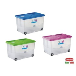 Contenitore multiuso con fusto semitrasparente e con coperchio a doppia apertura Contenitore multiuso con fusto semitrasparente e con coperchio a doppia apertura