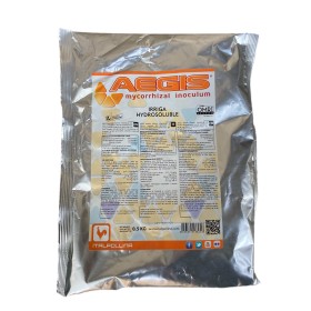 ITALPOLLINA AEGIS IRRIGA INOCULO MICORRIZICO IN FORMULAZIONE IPERCONCENTRATA POLVERE BAGNABILE GR. 500 ITALPOLLINA AEGIS IRRIGA INOCULO MICORRIZICO IN FORMULAZIONE
