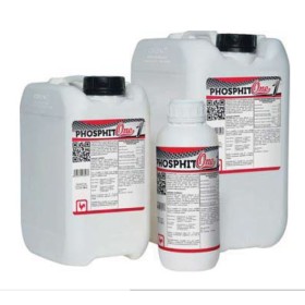 ITALPOLLINA PHOSPHIT-One CONCIME A BASE DI FOSFITO DI POTASSIO LT. 1 ITALPOLLINA PHOSPHIT-One CONCIME A BASE DI FOSFITO DI POTASSIO LT. 1