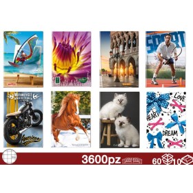 QUADERNONI 80GR CON RISGUARDO 10MM 60/10 QUADERNONI 80GR CON RISGUARDO 10MM 60/10