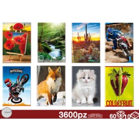 QUADERNONI 80GR CON RISGUARDO 4MM 60/10 QUADERNONI 80GR CON RISGUARDO 4MM 60/10