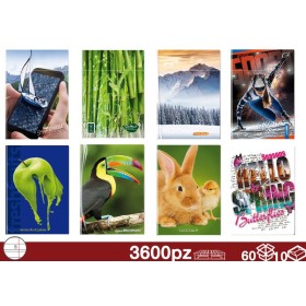 QUADERNONI 80GR CON RISGUARDO B 60/10 QUADERNONI 80GR CON RISGUARDO B 60/10