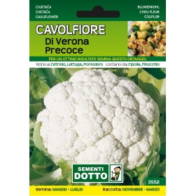 SEMI DI CAVOLFIORE DI VERONA PRECOCE SEMI DI CAVOLFIORE DI VERONA PRECOCE