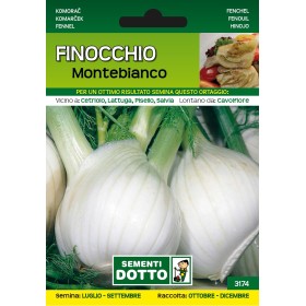 SEMI DI FINOCCHIO MONTEBIANCO SEMI DI FINOCCHIO MONTEBIANCO