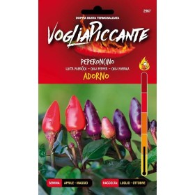 VOGLIA PICCANTE SEMI DI PEPERONCINO PICCANTE ADORNO VOGLIA PICCANTE SEMI DI PEPERONCINO PICCANTE ADORNO
