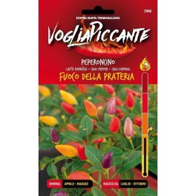 VOGLIA PICCANTE SEMI DI PEPERONCINO PICCANTE FUOCO DELLA PRATERIA VOGLIA PICCANTE SEMI DI PEPERONCINO PICCANTE FUOCO DELLA