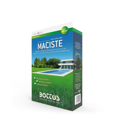 ZOLLAVERDE MISCUGLIO SEMI PER PRATO MACISTE CON FESTUCA LOIETTO E POA KG. 1