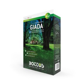 ZOLLAVERDE MISCUGLIO SEMI PER PRATO OMBRA GIADA CON FESTUCA E LOIETTO KG. 1 ZOLLAVERDE MISCUGLIO SEMI PER PRATO OMBRA GIADA CON FESTUCA E LOIETTO KG. 1