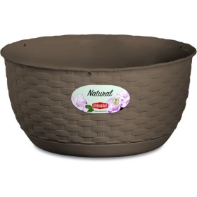 CIOTOLA NATURAL.DA APPENDERE D.30 CIOTOLA NATURAL.DA APPENDERE D.30