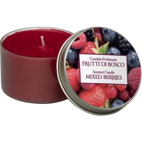 ALADINO CANDELA PROFUMATA AI FRUTTI DI BOSCO IN LATTINA ARDENZA 25 ORE ALADINO CANDELA PROFUMATA AI FRUTTI DI BOSCO IN LATTINA ARDENZA 25 ORE