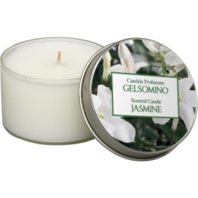 ALADINO CANDELA PROFUMATA AL GELSOMINO IN LATTINA ARDENZA 25 ORE ALADINO CANDELA PROFUMATA AL GELSOMINO IN LATTINA ARDENZA 25 ORE