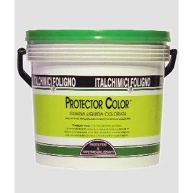 ITALCHIMICI GUAINA ROSSA LIQUIDA PROTECTOR COLOR ECONOMY FIBRO RINFORZATA KG. 5 ITALCHIMICI GUAINA ROSSA LIQUIDA PROTECTOR COLOR ECONOMY FIBRO