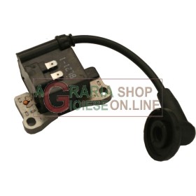 KIT BOBINA E VOLANO PER DECESPUGLIATORE CC. 26 EURO 2 KIT BOBINA E VOLANO PER DECESPUGLIATORE CC. 26 EURO 2