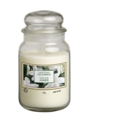 ALADINO CANDELA PROFUMATA AL GELSOMINO IN ZUCCHERIERA GRANDE DI VETRO ARDENZA 100 ORE ALADINO CANDELA PROFUMATA AL GELSOMINO IN ZUCCHERIERA GRANDE DI VETRO ARDENZA 100 ORE