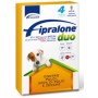 FIPRALONE DUO SPOT ON GATTO ANTIPARASSITARIO PER CANI PICCOLI DA KG. 2 A 10 PZ. 4