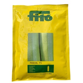 FITO SEMI DI ZUCCHINO F1 PASCAL  1000 SEMI FITO SEMI DI ZUCCHINO F1 PASCAL  1000 SEMI